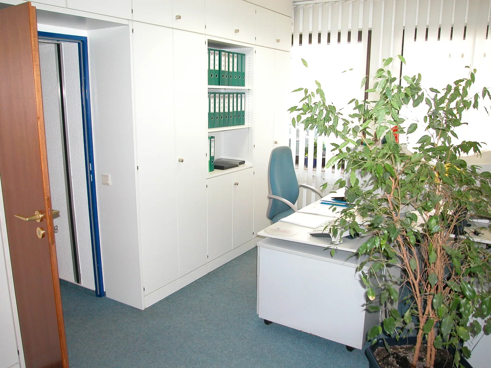 Büro mit weißer Schrankwand, grünen Ordnern, Schreibtisch und großer Grünpflanze